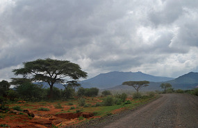 Drive from Konso Hills to Yabello