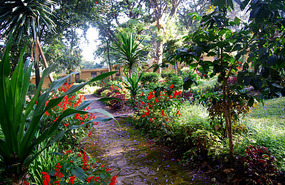 Wondo Guest House Hotel - Ethiopia