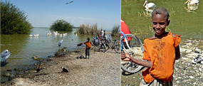 Child in Orange Shirt - Lake Ziway