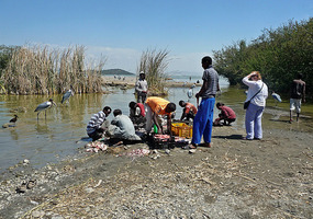Fishermen cleaning fish - Lake Ziwy