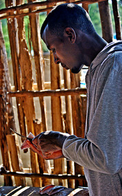 Cleaning fish - Lake Awassa fish market