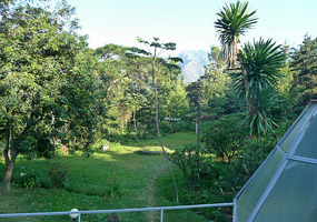 Wondo GuestHouseHotel grounds from restaurant roof