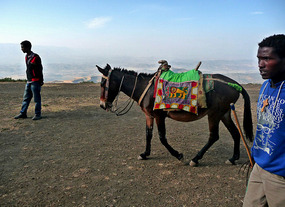 end of first mule ride 