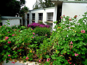 Blue Nile Resort Hotel - Bahar Dar