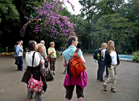 Leaving Blue Nile Resort Hotel - Bahar Dar
