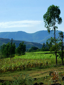 Landscape - from Bahar Dar to Tissisat Falls