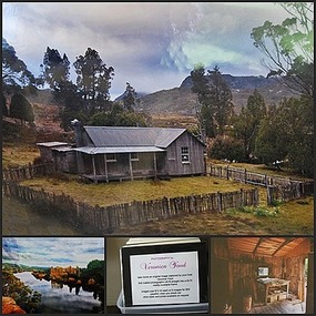 Photos by Veronica Youd, owner of Shingles