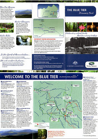 The Blue Tier