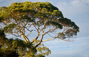Coles Bay - Freycinet NP