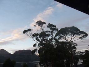 Kookaburras singing - Coles Bay 