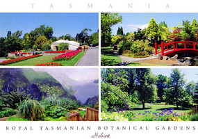 Royal Tasmanian Botanical Gardens - postcard