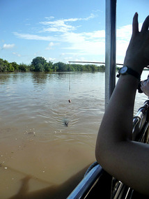 Adelaide River - Jumping Crocodile Cruise