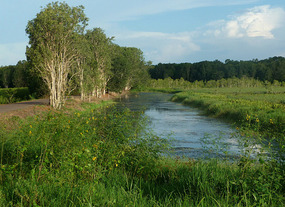 Fogg Dam - Northern Territory