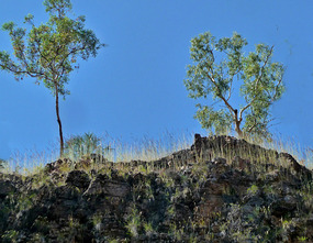 Katherine Gorge Cruise