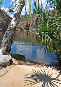 Leliyn - Edith Falls