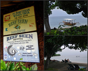 Reef Seen Divers' Resort, Pemuteran, North Bali