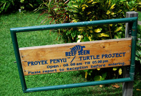 Turtle Project - Reef Seen Divers' Resort