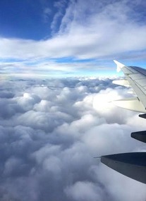 Flying home