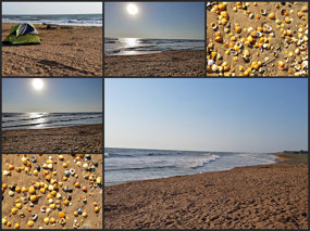 Caspian Sea
