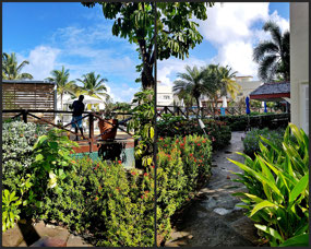 Cotton Bay Village Resort - St Lucia
