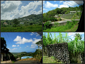 On the road in St Lucia with taxi driver Kirtland