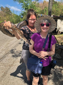 Photo op with boa constrictor - St Lucia