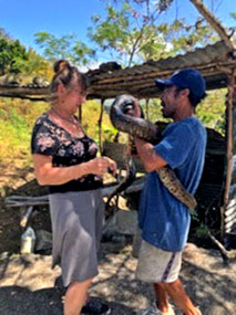Photo op with boa constrictor - St Lucia