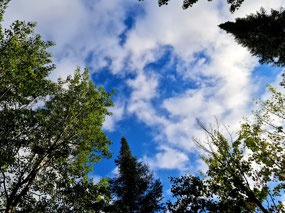 MN  Woodenfrog State Forest Campground