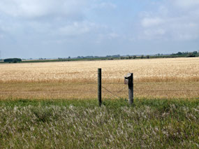 Turtle Mountain Scenic Byway - ND
