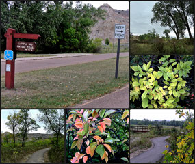 Little Mo Nature Trail  TRNP - North Unit
