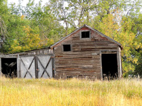 Abandoned barn - ND