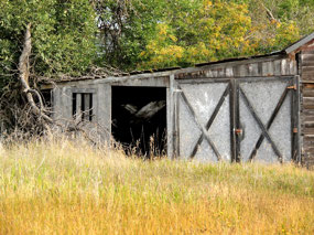 Abandoned barn - ND