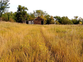Abandoned barn - ND