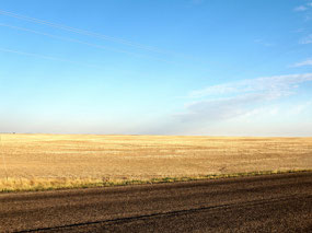 Montana wheat fields - Rt 2 West of Havre