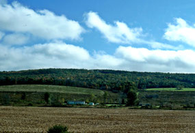 New York - rolling hills and small fields