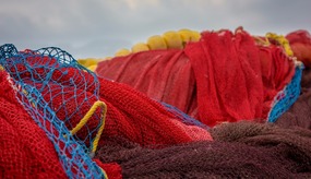 Fish Nets - Not the Kind that Girls Wear