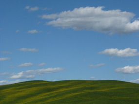 Believe It or Not, I Took this Pic (Tuscany)