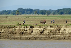 Agriculture along the banks