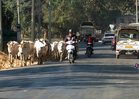 Sharing the road