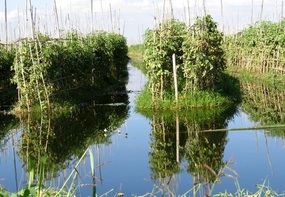 The floating gardens