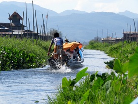 The "road" 
