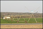 Some irrigation among the dryness