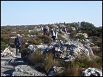 Lots of walks on top amongst the rocks