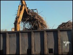 Loading sugar cane onto the train