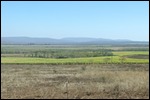 Sugar Cane all irrigated at the moment