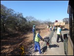 Work on the roads in the reserve