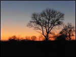 Beautiful African sunset