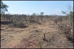 The reserve suffering from drought