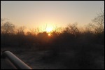 African sunrise out on safari