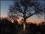 Another African sunset